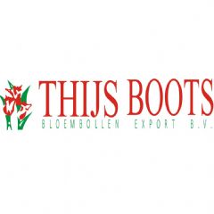 Thijs Boots