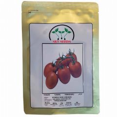 بذر گوجه رقم سن لورنزو هیبرید